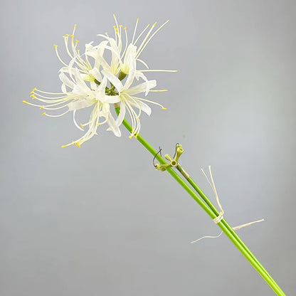 Qingriver 6 Sets 67 CM Lycoris Radiata Artificial Spider Lily Flowers Stonegarlic Clusteramaryllis for Home Garden Wedding Party Decor (Pure White)