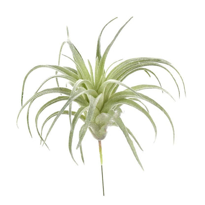 EBUYOM 2 PCS Artificial Succulents Plants Unpotted Fake Flocking Tillandsia Air Plants Succulent Bromeliads Bouquet Arrangements Faux Plants DIY for Garden Terrarium Decor Home Decoration Green