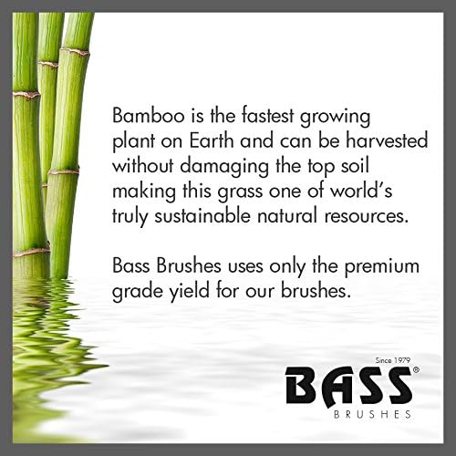 BASS Brushes THE Green PET Oval Brush, Bamboo-Stiped Finish, Small