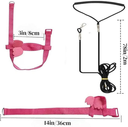 3 Sets Pet Parrot Bird Harness and Leash with Cute Wing, Adjustable Bird Flying Harness Straps Outdoor Training Traction Rope for Parrots Pigeons Lovebird Cockatiel(L,Pink, Yellow&Purple)