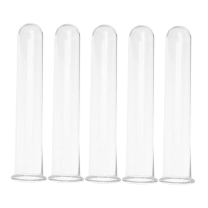 JEWEDECO 5pcs Glass Test Tubes for Plant Propagation Vase Hydroponic Floral Water Tubes Glass 2.5x3x15cm Small Terrarium Plants Home Décor
