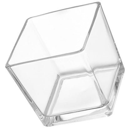 SECFOU 4.5 Inch Cube Glass Vase for Succulent Plants and Greenery, Small Terrarium Planter Pot for Hydroponic Use, Decorative Tabletop Flower Container for Home and Office