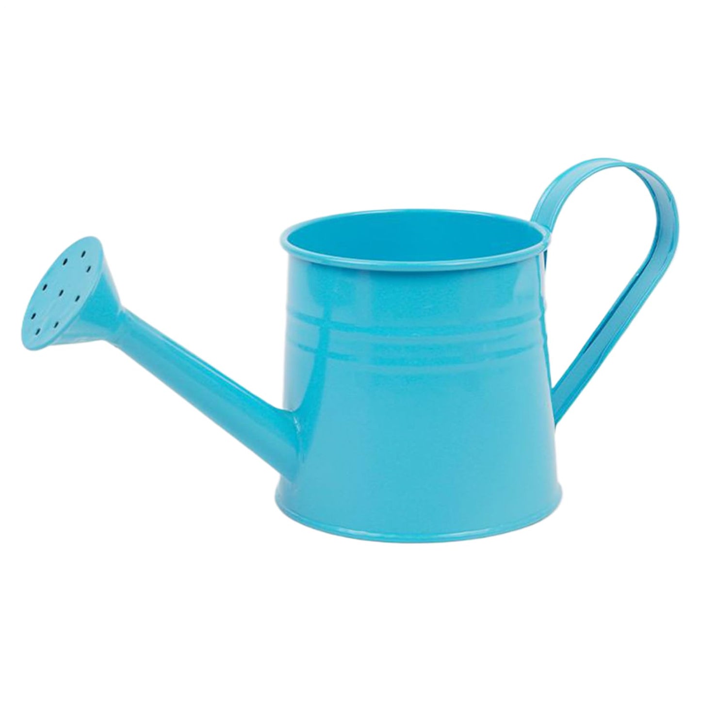 Metal Watering Can 1L Garden Plant Watering Cans with Long Spout Metal Sprinkling Can Flower Plant Gardening Arrangement Bucket for Outdoor and Indoor