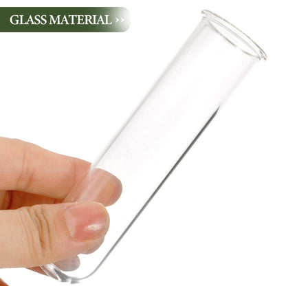 OUNONA 5pcs Glass Test Tube Flower Vases for Plants Propagation Hydroponic Small Terrarium Tubes 2.5x3x11cm for Home Décor