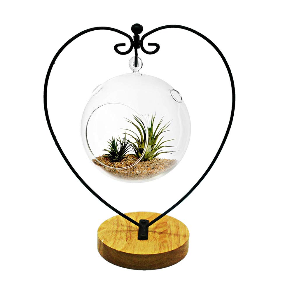 YY YEARCHY Ornament Stand Display Metal Stand Air Plant Stand Flower Pot Holder Iron Pothook Stand for Hanging Glass Globe Ball (Heart round wood 2Pcs)