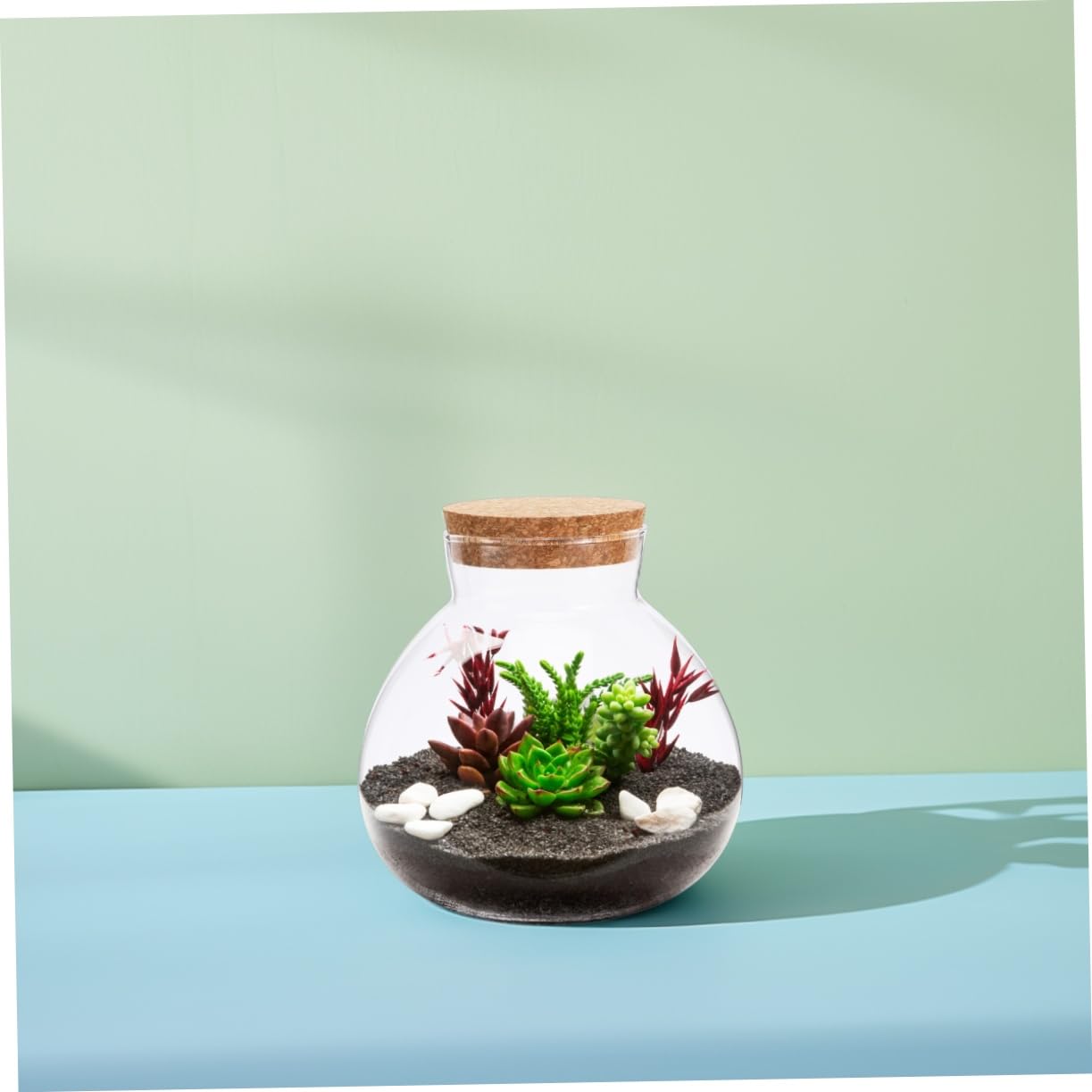 BESPORTBLE Glass Moss Bottle Empty Glass Jar Moss Crafts Home Decor Plant Terrarium