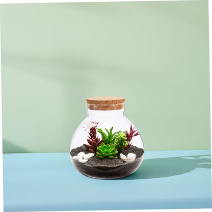 BESPORTBLE Glass Moss Bottle Empty Glass Jar Moss Crafts Home Decor Plant Terrarium