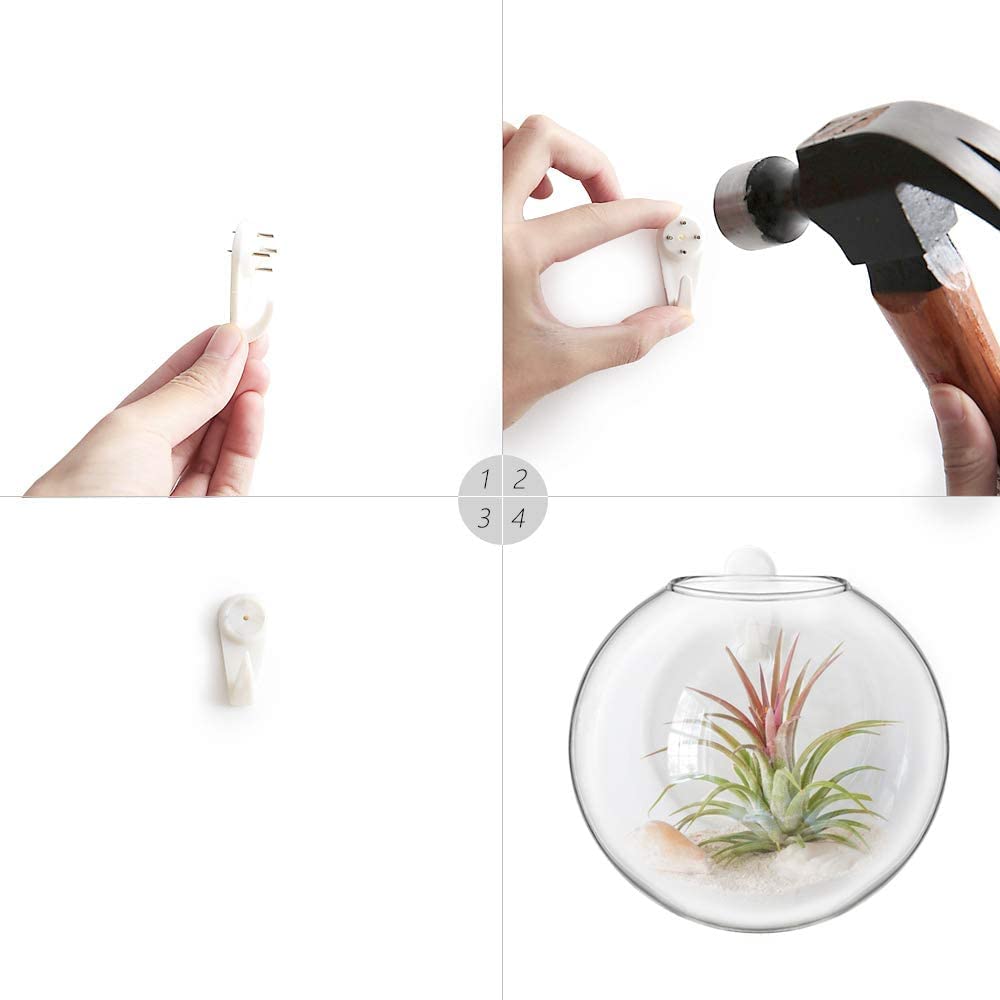Mkono Propagation Wall Hanging Planter Glass Terrarium Flower Vases Holder for Indoor Plants, Home Living Room Office Decor Plant Lover Gifts, Set of 4(Plants not Included)