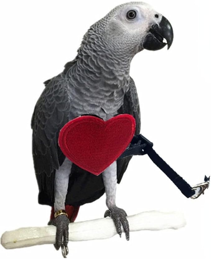 Adjustable Birds Harness and Leash Parrot Harness Leash Training Supplies Pet Anti-bite Outdoor Flying Rope for Conures Budgerigar Lovebird Cockatiel Mynah (M)