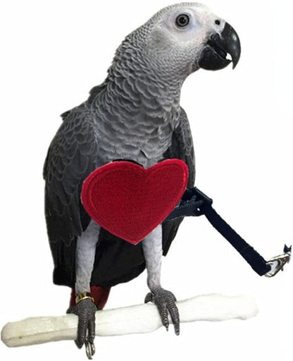 Adjustable Birds Harness and Leash Parrot Harness Leash Training Supplies Pet Anti-bite Outdoor Flying Rope for Conures Budgerigar Lovebird Cockatiel Mynah (M)