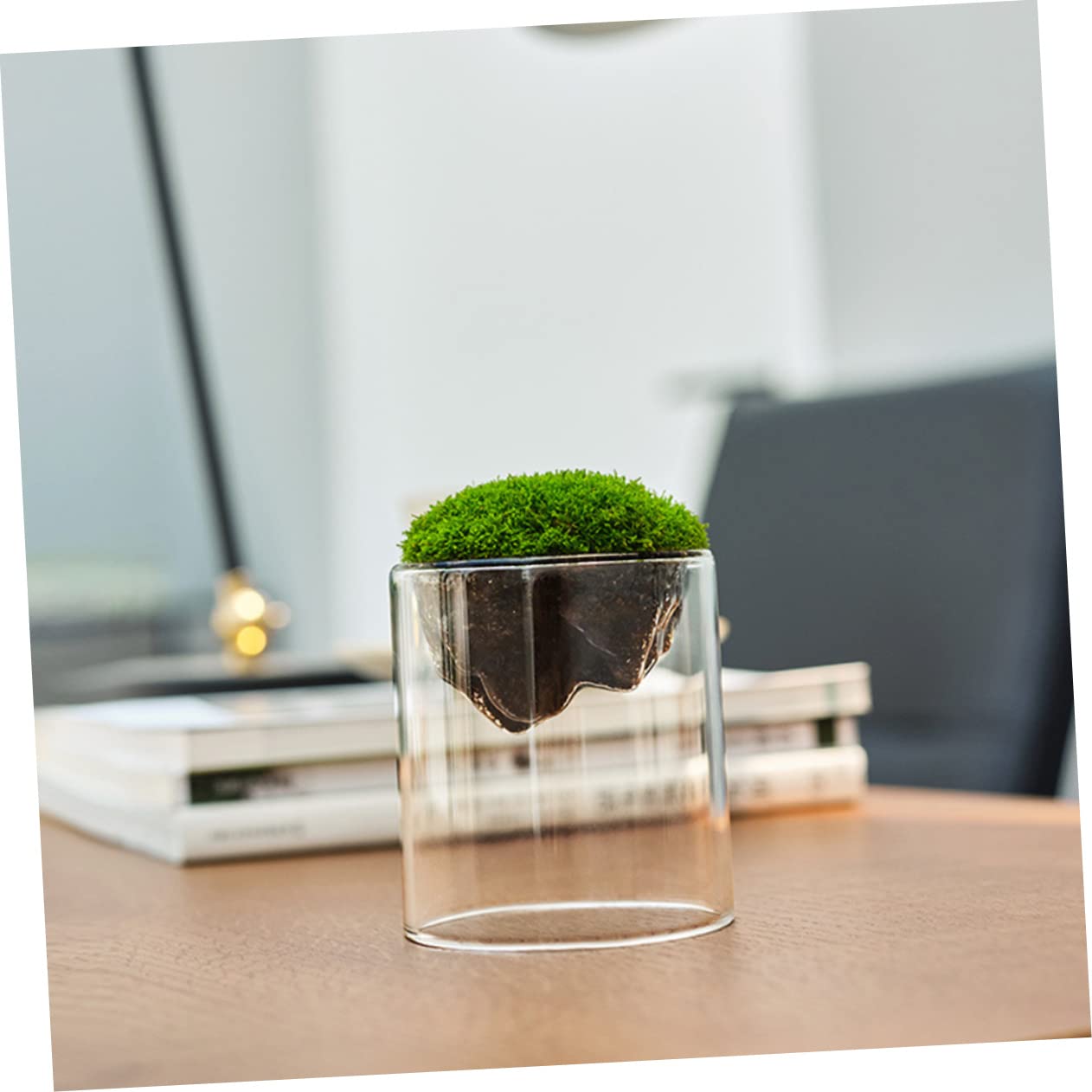 Parliky Terrarium Jars Set DIY Landscape Glass Bottle Moss Home Decor Plant Container
