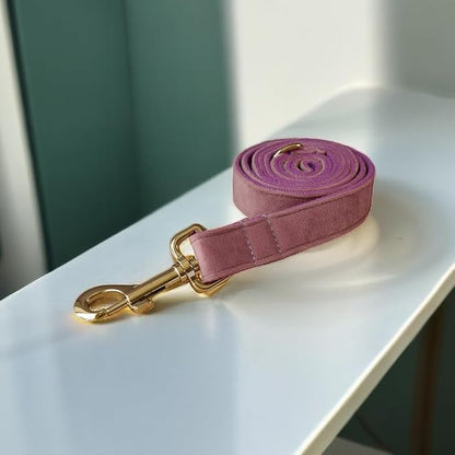 Love Dream Velvet Dog Collar and Leash Set, Soft & Comfy Adjustable Dog Leash and Collar with Heavy Duty Metal Buckle for Small Medium Large Dogs Training & Walking (Large, Light Purple)