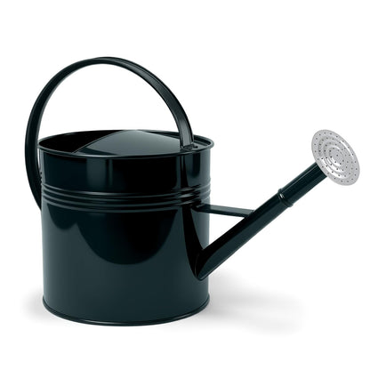 LONGRUN 2.5 Gallon Dark Green Metal Watering Can Primary Colors Nozzle for Plants and Garden with Removable Spout, Made of Galvanized Iron