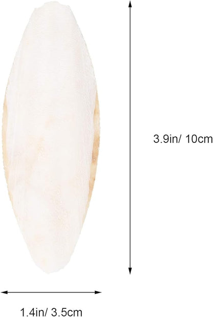 Baluue 12pcs Bird Cuttlebone Chew Toy Cuttlefish Bones Parrot Cage Toys Bird Bite Toy for Aquarium Reptile Tortoise Turtle Cockatiel 10cm
