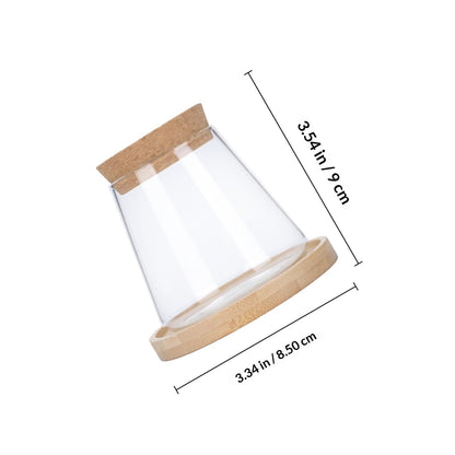 Beaupretty Hydroponic Glass Vase with Wooden Stand, 1-Set Ecological Bottle for Plant Propagation, Home and Office Gardening Terrarium Planter