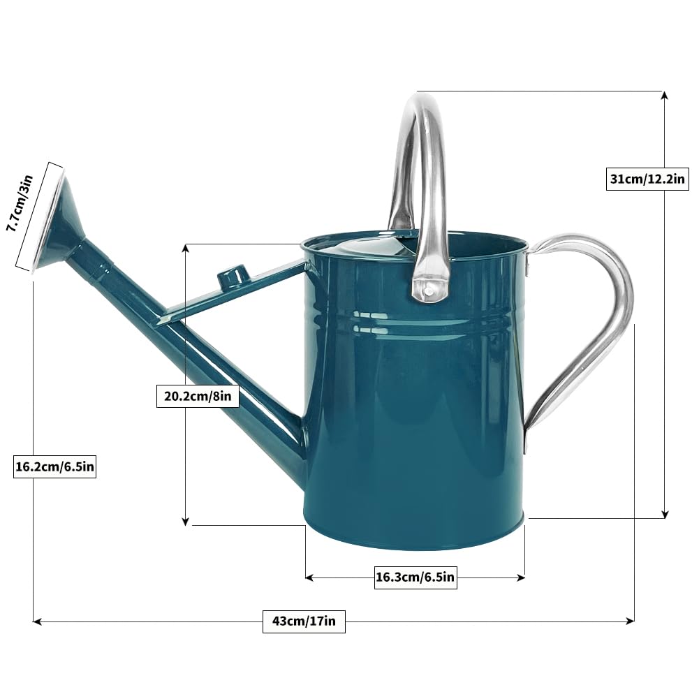 1 Gallon Metal Watering Can with Removable Spout, Nice Galvanized Steel Water Can for Indoor and Outdoor Plants (Ocean Blue)