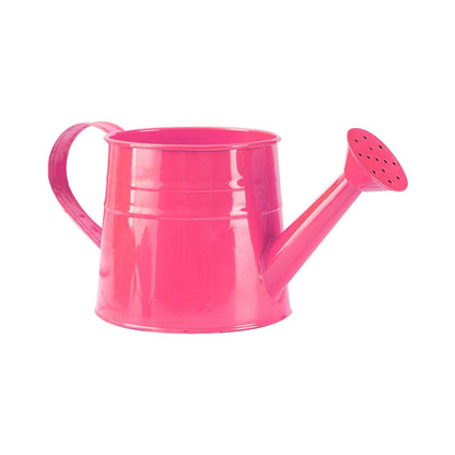 Galvanized Watering Can 1L,Tinplate Watering Kettle with Removable Spout,Garden Decorations,Gardening Tools for Outdoor Indoor Plants Lawn Garden (Rose Pink)