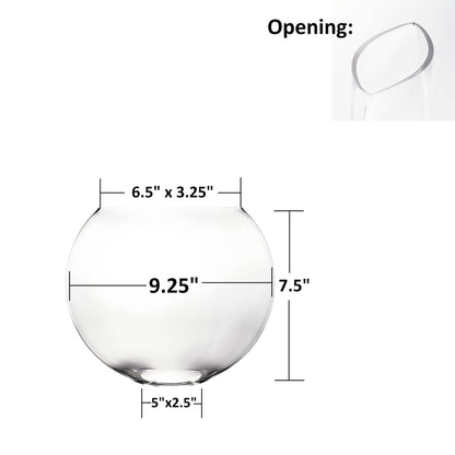 CYS EXCEL Glass Moon Vase Oval Bowl (H:7.5" L:9.25") | Multiple Size Choices Round Flower Vase Centerpiece | Plant Terrarium Bowl Vase