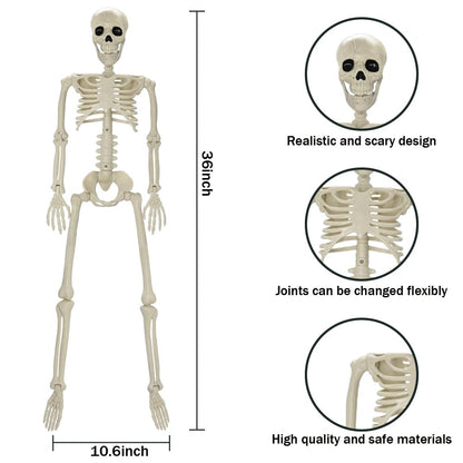 UMEELR 36in/3ft Life Size Posable Skeleton, Plastic Full Body with Movable Joints Skeleton for Halloween Party Prop Graveyard Haunted House Decorations