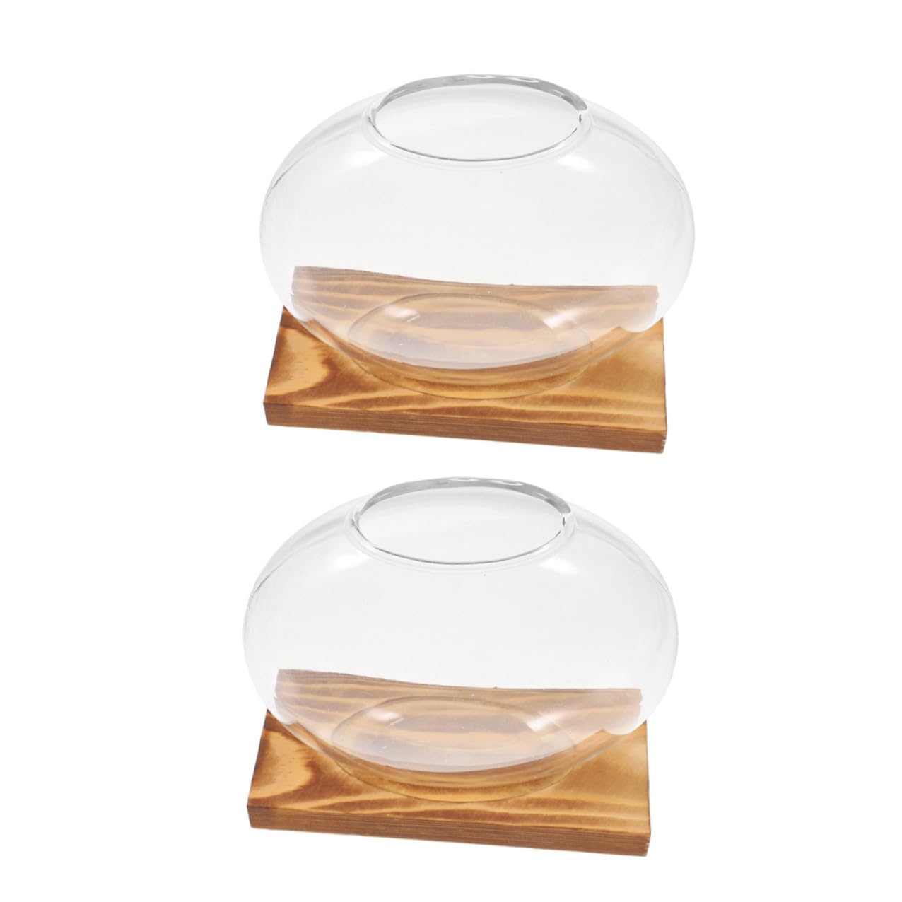 Ipetboom 2pcs Small Glass Propagation Vases with Wooden Base, Hydroponic Plant Terrariums for Home Office Desk, Glass Planter Suitable for Indoor Plant Cultivation