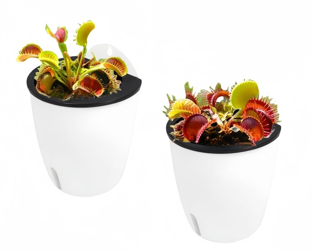 DODXIAOBEUL 2 Pack 7 Inch Visible Water Level Self Watering Planter,Hanging Planters,Wall Mounted Plants Holder,Small Flower pots Indoor Out Flowerpot with 3 Hooks Plastic Pots for Plants (White 7")