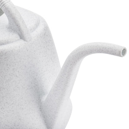 Fasmov 1-Gallon Plastic Watering Can with Comfortable Handle, Garden Watering Cans Long Spout for Indoor Outdoor Watering Plants (Gray White)
