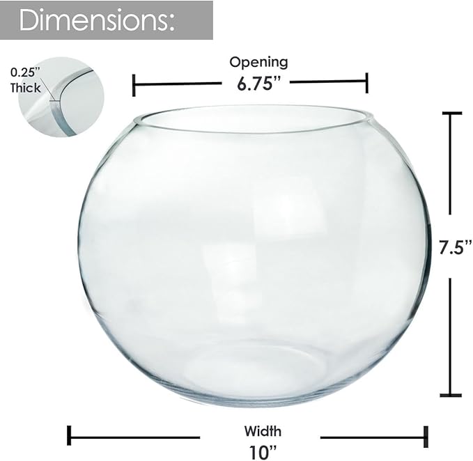 Glass Bubble Vase, 8" Height x 10" Width Glass Fish Bowl, Bubble Bowl for Terrarium, Flower Centerpiece