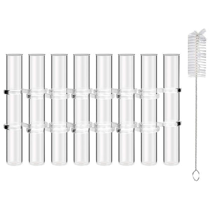 ibasenice Glass Test Tube Vases Set of 8 Large Hydroponic Propagation Tubes with Cleaning Brush for Indoor Plant Holder and Succulent Terrarium Home Décor