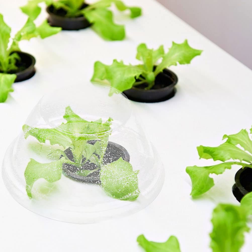POPETPOP 100 Pcs Plastic Dome Lids - 1.57 Inch Inner Diameter Transparent Hydroponic Plant Caps, Hydroponics Pod Hole Cover for Seedling Clone & Plant Sprouting