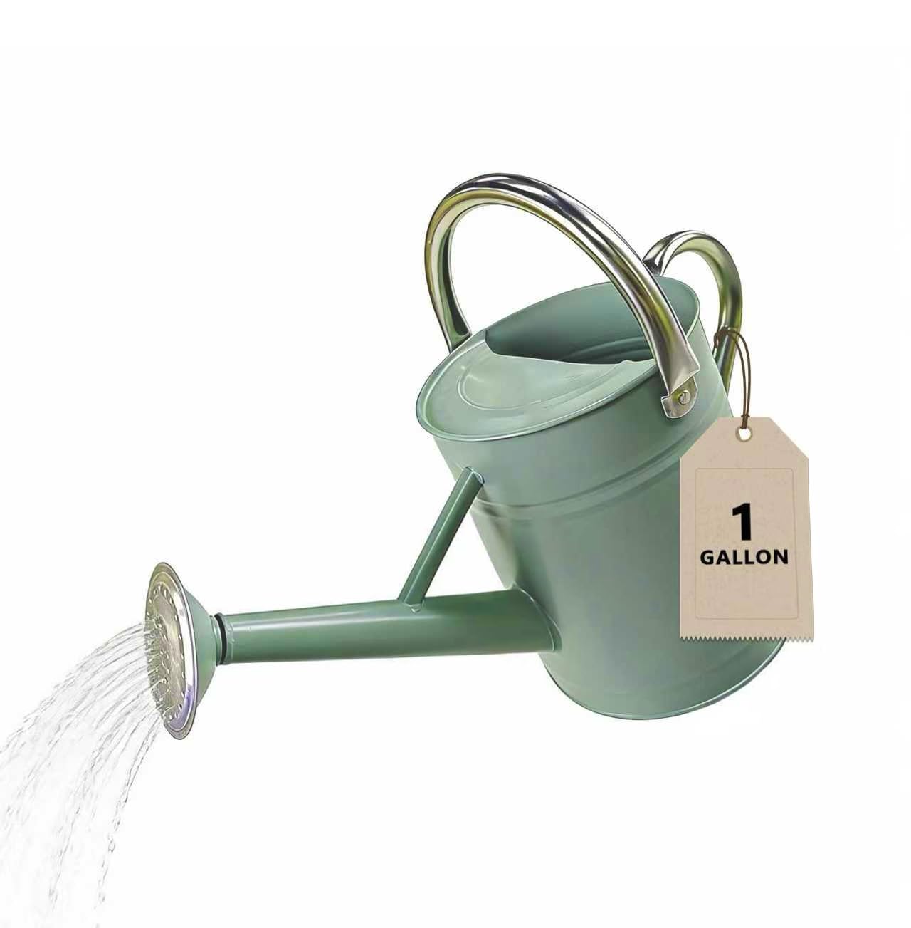 Watering Can for Outdoor&Indoor Plants，1 Gallon Metal Watering Can with with Removable Spout，Galvanized Steel Garden Flower Water Can Plant Watering Pot with 2 Stainless Steel Handles，Cream Green