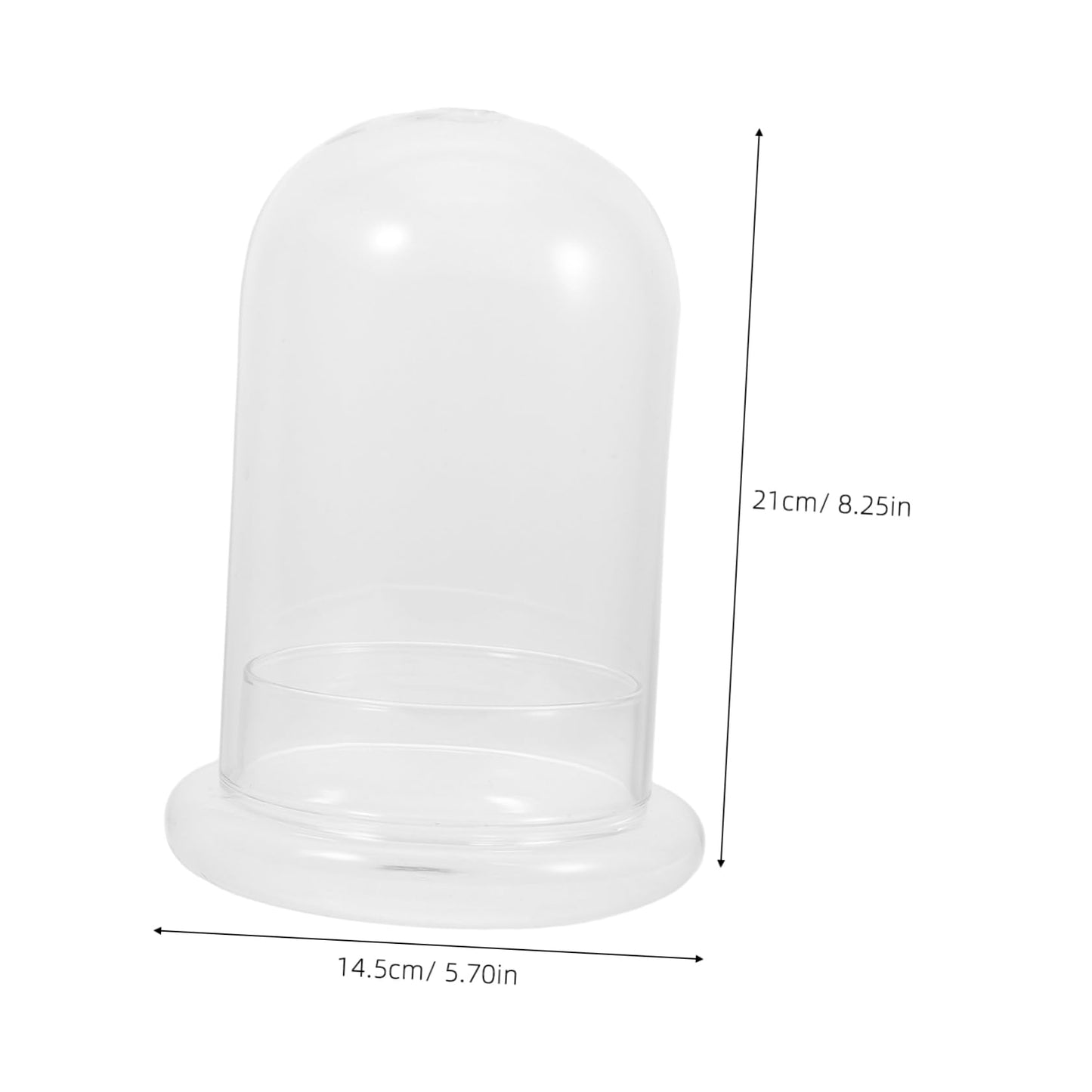 IWOWHERO Micro Landscape Vase Flower Vase Small Glass Terrarium Desktop Glass Terrarium Tabletop Aquarium Tank Micro Landscape Bottle Plant Holder High Borosilicate Glass Transparent