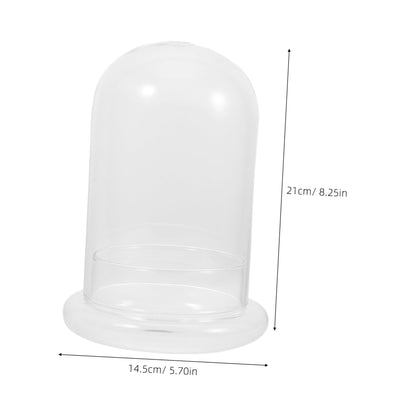IWOWHERO Micro Landscape Vase Flower Vase Small Glass Terrarium Desktop Glass Terrarium Tabletop Aquarium Tank Micro Landscape Bottle Plant Holder High Borosilicate Glass Transparent