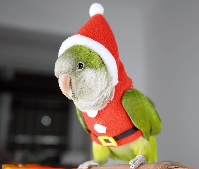 Bird Clothes Birds Flight Suit, Christmas Hoodie for Parrots Cockatiel Sun Conure Christmas Party Cosplay Photo Prop Bird Shirt Small Animals Apparel (Without Diaper,Lovebird)