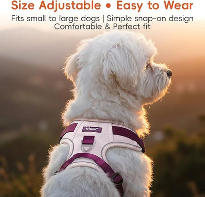 Dog Harness and Leash Set with Collar, No Pull Reflective Pet Vest Harness with Control Handle for Medium Large Dogs Walking and Training