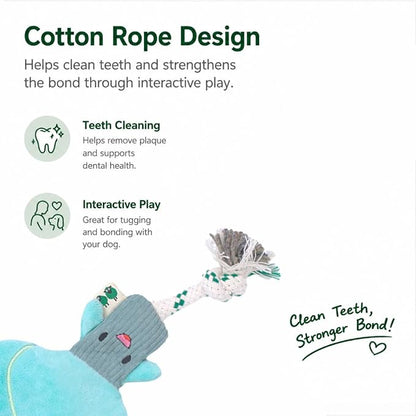 Green Sheep Interactive Plush Dog Toy, No Stuffing Squeaky Toy with Recycled Cotton Rope for Medium to Large Dogs, Asparagus