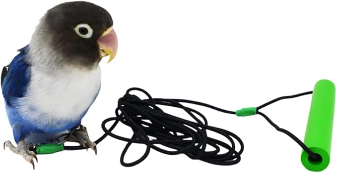 Bird Foot Chain with Flying Latex Elastic Training Rope Outdoor Parrot Ankle Foot Ring Accessories Bird Harness Leash Prevent Escaping (Model7-With 236inch Leash)