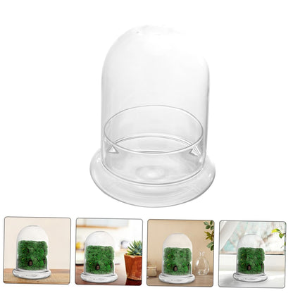 FUNOMOCYA 2pcs Eco Bottle Moss Micro Landscape Bottle Glass Terrarium DIY Plant Container