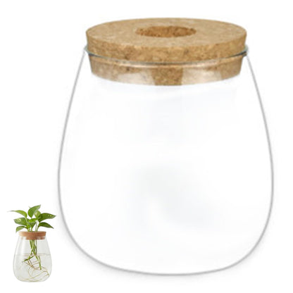 Xoeryoy Propagation Vases for Plants, Clear Glass Terrarium Jar with Wooden Stopper for Hydroponics, Creative Home Decor and Tabletop Plant Propagation Station