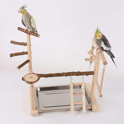 Wooden Parrot Playground Stand, Bird Play Gym for Small Medium Large Parrots, Natural Wood Bird Perch Stand for Parakeet Cockatiel Conure African Grey Macaw, Stable Easy-to-Clean Play Area