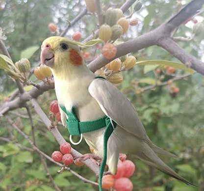 Pet Parrot Bird Harness Leash Adjustable Bird Flying Harness Traction Rope with Cute Wing for Parrots Pigeons Budgerigar Lovebird Cockatiel Mynah Outdoor Training Toy (Green,S)