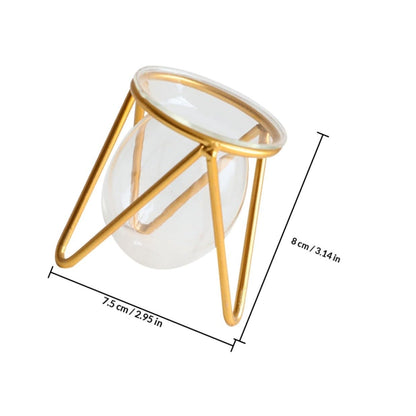 Unomor Glass Hydroponic Plant Vase with Gold Metal Stand Small Tabletop Flowerpot for Indoor Air Plants and Terrarium Décor for Home and Wedding
