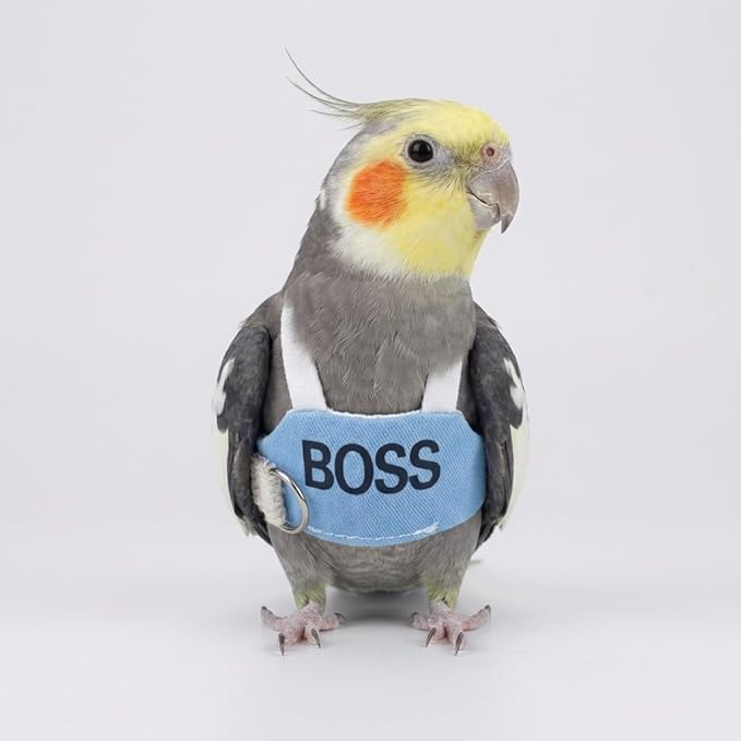 2 Pack Bird Flight Suit Vest, Adjustable Parrot Harness Clothes with Cute Design, Anti-Bite Outdoor Training Outfit for Parakeet, Cockatiel, Conure, Quaker, Budgie (XL,with Leash)