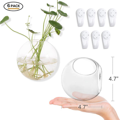Hanging Wall Planters Pack of 6 Glass Plant Pots Round Wall Vases for Flowers Hanging Propagation Station Glass Plant Holder Wall Terrariums Plant Container
