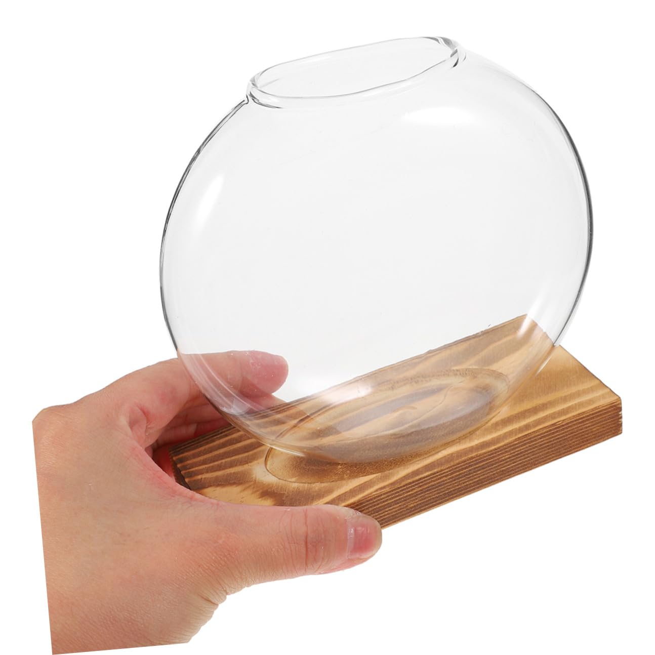 NUOBESTY 2pcs Glass Vase with Wooden Stand for Plant Propagation Hydroponic Terrarium Container Desktop Planter for Home and Office Decor