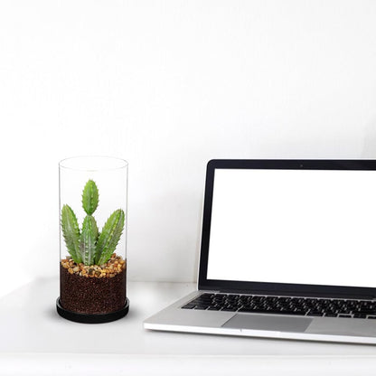 GnFlus Artificial Succulent in Cylindrical Glass Vase Small Fake Cactus Plant with Modern Glass Terrarium Faux Plants Indoor Gift for Plant Lover Decor for Home Office Table Desk Shelf