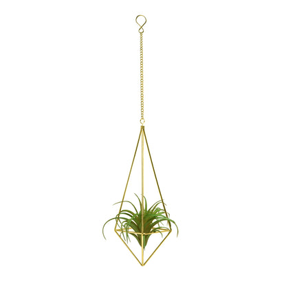 libproqia Air Plants Holders Hanging Airplants Hangers Himmeli Metal Wire 4Pcs Geometric Display Airfens Planter Frame 2 Sizes Tillandsia Holder with Chain and Hooks Decor for Home Office