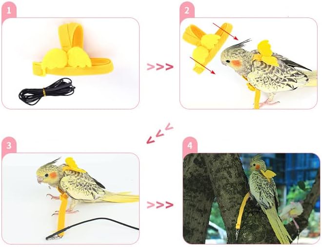 Parrot Harness and Leash Set - Elastic Rope with Green Adjustable Harness Cute Wing, Suitable for Medium Size Bird Like Small Red-Breasted Parakeet, Caique, Mini Macaw