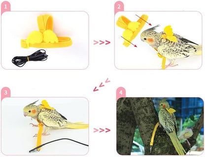 Parrot Harness and Leash Set - Elastic Rope with Green Adjustable Harness Cute Wing, Suitable for Medium Size Bird Like Small Red-Breasted Parakeet, Caique, Mini Macaw