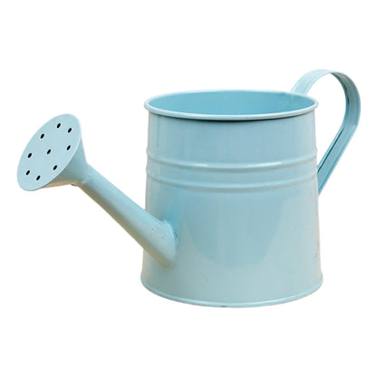 Metal Watering Can with Sprinkler,1L,0.26 Gallon Galvanized Tinplate Small Watering Can for Indoor Outdoor Plants, Garden Tool for Flowers Succulents and Balcony (Sky Blue)