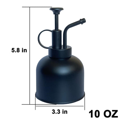 Lianshi Stainless Steel Plant Sprayer, Small Watering Can, Modern Gardening Tool for Indoor Potted Plants
